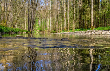 River Kupfer at spring time