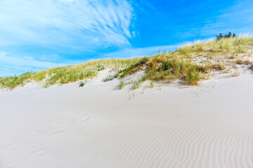 Fototapeta na wymiar Sand dunes on beautiful beach in Dzwirzyno village near Kolobrzeg town and sunny blue sky, Baltic Sea coast, Poland