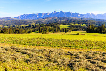 Freshly cut hay grass at Lapszanka pass and beautiful view of Tatra Mountains range, Poland