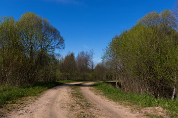 Fototapeta na wymiar The country road is turning right among the roars and shrubs in the summer. Village Road with tree