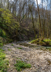 River Kupfer at spring time