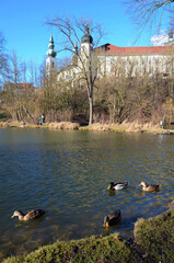 Teich beim Kloster Puchheim im Frühjahr, Österreich, Europa - Pond at Puchheim Monastery in spring, Austria, Europe © Spitzi-Foto