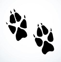 Dog foot print. Vector drawing