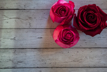 pink rose petals on wood plank table background for background