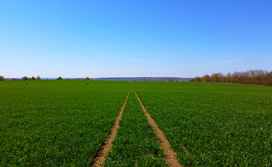 Fototapeta na wymiar Aerial view of the road and green summer fields