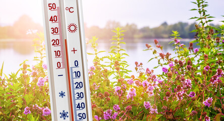 The thermometer shows 25 degrees of heat on a background of wildflowers near the river. Summer...