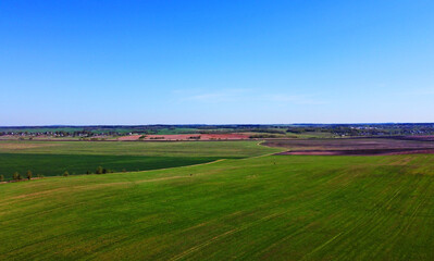 Fototapeta na wymiar Aerial view of the summer landscape with green fields and meadows