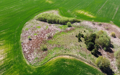 View from a height to the edge of a beautiful summer forest and meadow