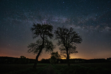Fototapeta na wymiar Landschaft mit Milchstraße - Milky Way