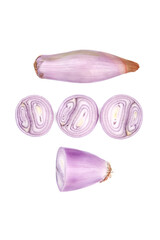 Shallot halves and slices isolated on white background, top view