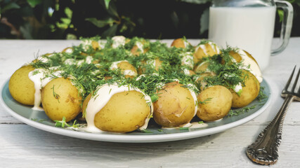 Background of new potatoes with dill