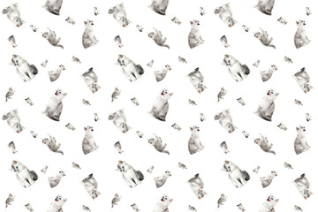 seamless pattern with gray kittens on a white background