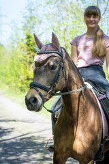 Obraz premium Reitpferd / Reitpony