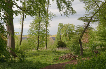 Fototapeta premium Beautiful spring landscape of forest path in the countryside