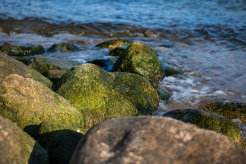 Stones overgrown with moss in the sea, Kolka, Latvia.