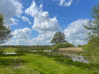 Nature scenery around Rijssen