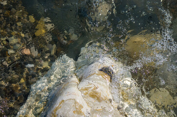 pebble stones on the sea beach, the rolling waves of the sea with foam