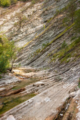 Autumn landscape. Jane riverbed . Krasnodar Territory. Gelendzhik