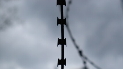 Barbed wire on the background of the cloudy sky and tree branches.