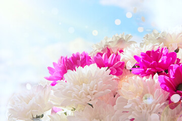 beautifully designed bouquet of white and red chrysanthemums on light background