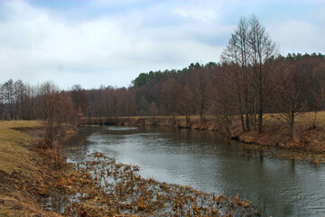 landscape with river with many trees. River in cloudy weather