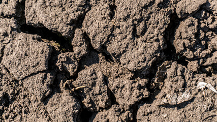 dry ground close up