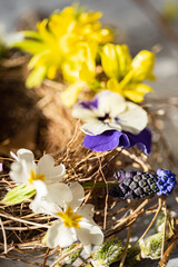Easter nest with spring flowers