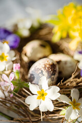 Obraz na płótnie Canvas Easter nest with spring flowers