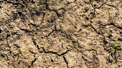 dry ground close up