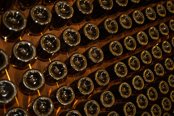 rows of wine's bottles bottom 