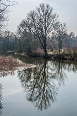 Spring flood in the floodplain of the Dnieper River, Muromets island