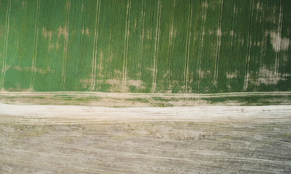 Countryside road between greeb and brown field