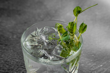 Glass with drink, ice on gray background. Cocktail decorated microgreen alcohol beverage.