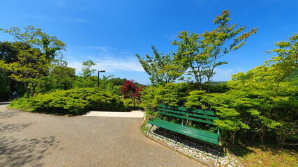 北川村モネの庭22
