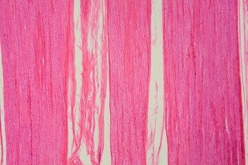Longitudinal section of human nerve cells under the microscope.