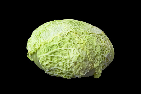 Savoy cabbage isolated on a black background. Full organic Curly Green Cabbage. Image cabbage leaf text