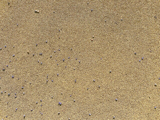 The yellow texture of the soft rubber surface of the safe cover of the sports playground for workout is made of pressed fine rubber. The background. Texture