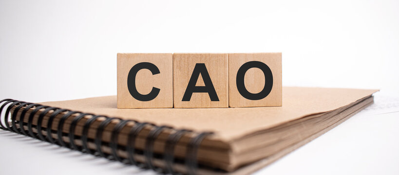 Text cao on the wooden cubes and craft colored notepad on the white background