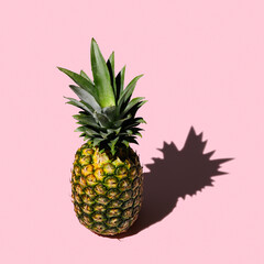 Pineapple with green leaves on pink background