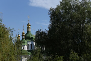 Fototapeta na wymiar domes of the orthodox church among the trees