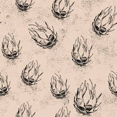 Tropical Dragon fruit Fabric Texture Wall Paper Design.  Outline of an Exotic fruit Seamless Pattern.