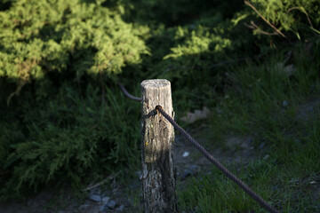 fence post on the grass