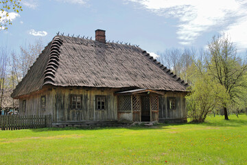 Fototapeta na wymiar An old wooden country house in Podlasie. A historic wooden thatched house in the Bialystok Village Museum. Trees are blooming all around. Juicy green grass.