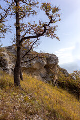 The mountainous area is an area for recreation and travel on a Sunny summer day.