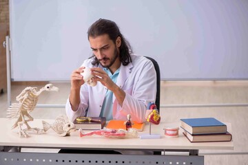 Young male zoologist examining skeleton