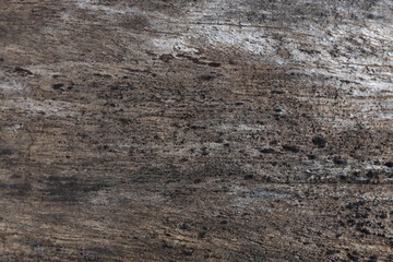 Old and rough wood texture background