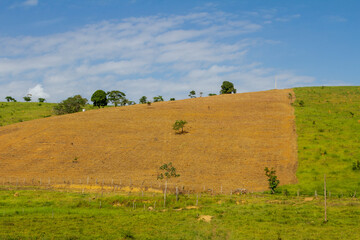 Vista de morro desmatado em área rural de Guarani, Minas Gerais, Brasil