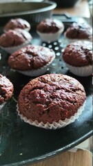 chocolate muffins