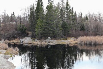 A small lake with rocky shores and surrounded by forest