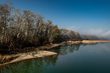 Fototapeta na wymiar Landscape At National Park River Danube Wetlands In Austria